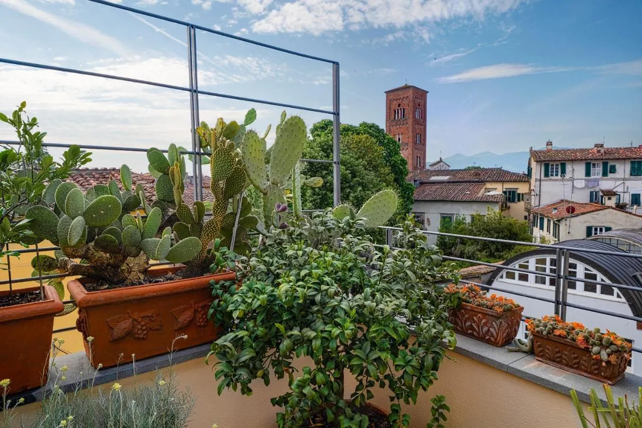My Guesthouse Lucca 0*,